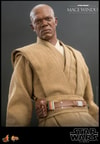 Mace Windu (Prototype Shown) View 4