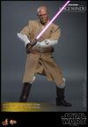 Mace Windu (Prototype Shown) View 3
