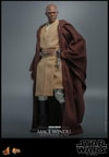 Mace Windu (Prototype Shown) View 6