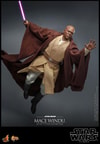 Mace Windu (Prototype Shown) View 9