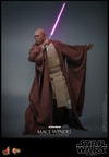 Mace Windu (Prototype Shown) View 10