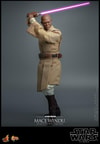 Mace Windu (Prototype Shown) View 11