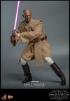 Mace Windu (Prototype Shown) View 12