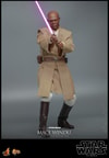 Mace Windu (Prototype Shown) View 13