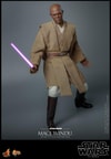 Mace Windu (Prototype Shown) View 14