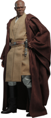 Mace Windu (Prototype Shown) View 22