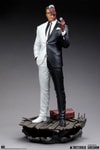 Two-Face (Prototype Shown) View 6