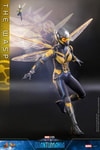 The Wasp