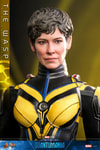 The Wasp