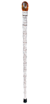 John Hammond's Cane