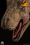 Tyrannosaurus Rex