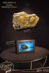 Trilobites Miniature Frame & Fossil Deluxe- Prototype Shown