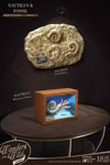 Nautilus Miniature Frame & Fossil Deluxe- Prototype Shown