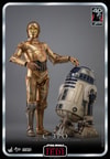 C-3PO™ (Prototype Shown) View 6