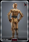 C-3PO™ (Prototype Shown) View 8