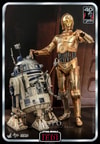 C-3PO™ (Prototype Shown) View 11