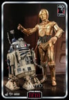C-3PO™ (Prototype Shown) View 12