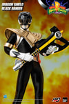 Dragon Shield Black Ranger (Prototype Shown) View 4