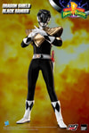 Dragon Shield Black Ranger (Prototype Shown) View 14