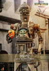 IG-12 With Accessories (Prototype Shown) View 1
