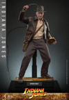 Indiana Jones Collector Edition (Prototype Shown) View 6