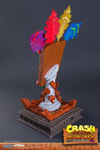 Aku Aku Mask View 19