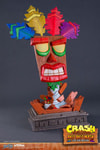 Aku Aku Mask View 22