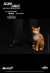 Lt. Commander Data (Standard Version) (Prototype Shown) View 4