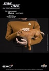 Lt. Commander Data (Standard Version) (Prototype Shown) View 5