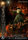 Gandalf the Grey (Ultimate Version) (Prototype Shown) View 4