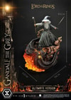 Gandalf the Grey (Ultimate Version) (Prototype Shown) View 15
