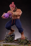 Akuma (Prototype Shown) View 8