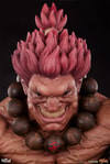 Akuma (Prototype Shown) View 16