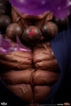 Akuma (Prototype Shown) View 18