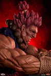 Akuma (Prototype Shown) View 25
