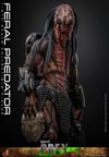 Feral Predator (Prototype Shown) View 12