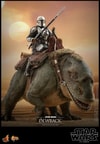 Dewback™ (Prototype Shown) View 7