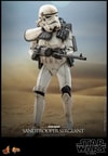 Sandtrooper Sergeant™ (Prototype Shown) View 7