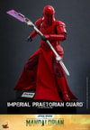 Imperial Praetorian Guard™ (Prototype Shown) View 5