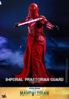 Imperial Praetorian Guard™ (Prototype Shown) View 10