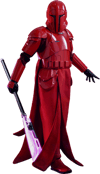 Imperial Praetorian Guard™ (Prototype Shown) View 20