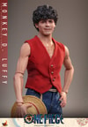 Monkey D. Luffy (Prototype Shown) View 7