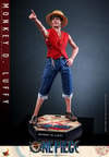 Monkey D. Luffy (Prototype Shown) View 9