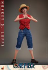 Monkey D. Luffy (Prototype Shown) View 11