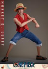 Monkey D. Luffy (Prototype Shown) View 14