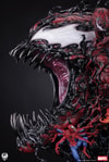 Maximum Carnage (Prototype Shown) View 19