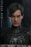 Spider-Man (Black Suit) (Special Edition) (Prototype Shown) View 15