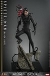 Spider-Man (Black Suit) (Deluxe Version) (Special Edition) (Prototype Shown) View 8