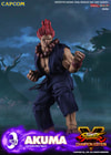 Akuma (Prototype Shown) View 7