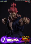Akuma (Prototype Shown) View 25